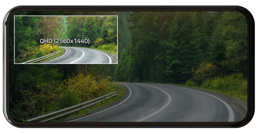 Wide view demonstration